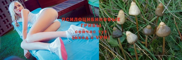 а пвп мука Балахна