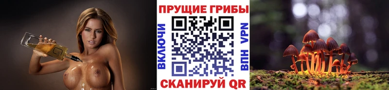 Галлюциногенные грибы Magic Shrooms  Николаевск-на-Амуре 